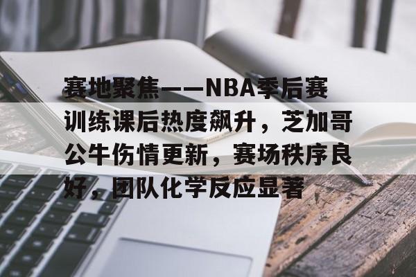 包含赛地聚焦——NBA季后赛训练课后热度飙升，芝加哥公牛伤情更新，赛场秩序良好，团队化学反应显著的词条